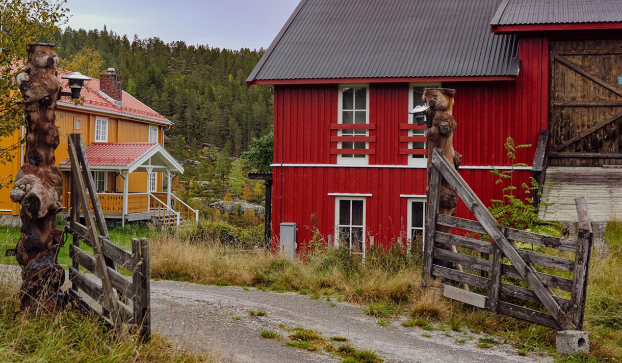 Telemark Yoga i Notodden