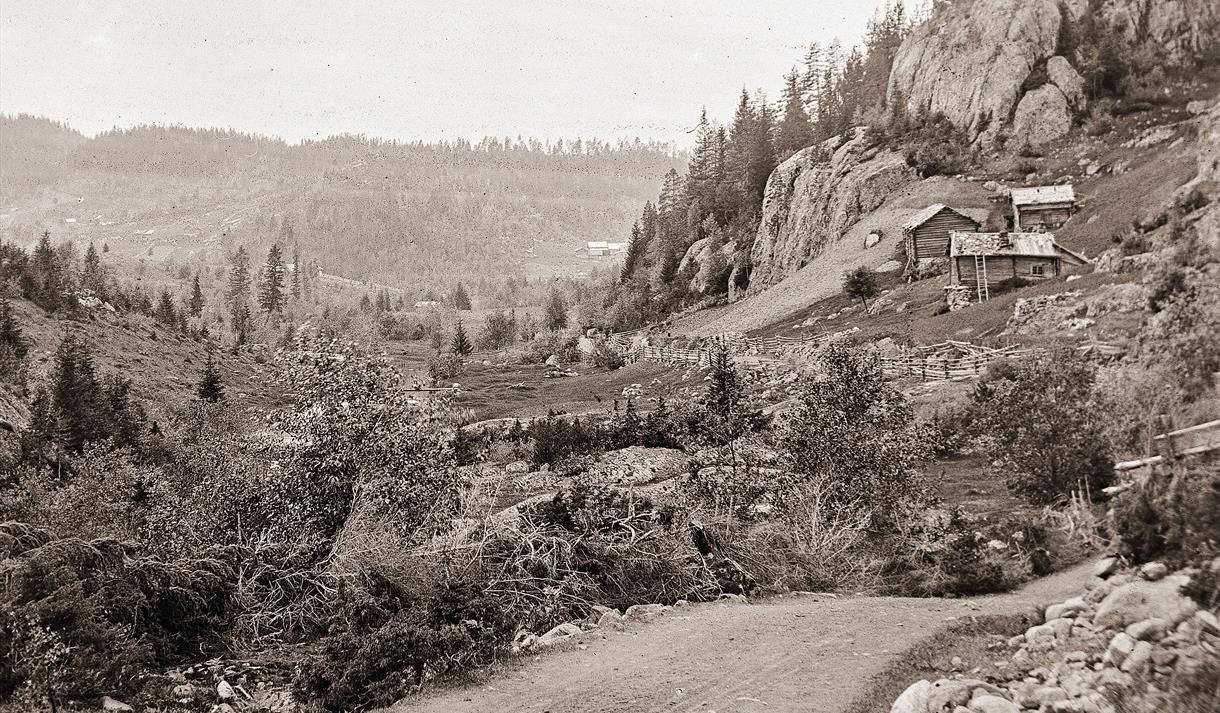 Husmannsplass i Kviteseid