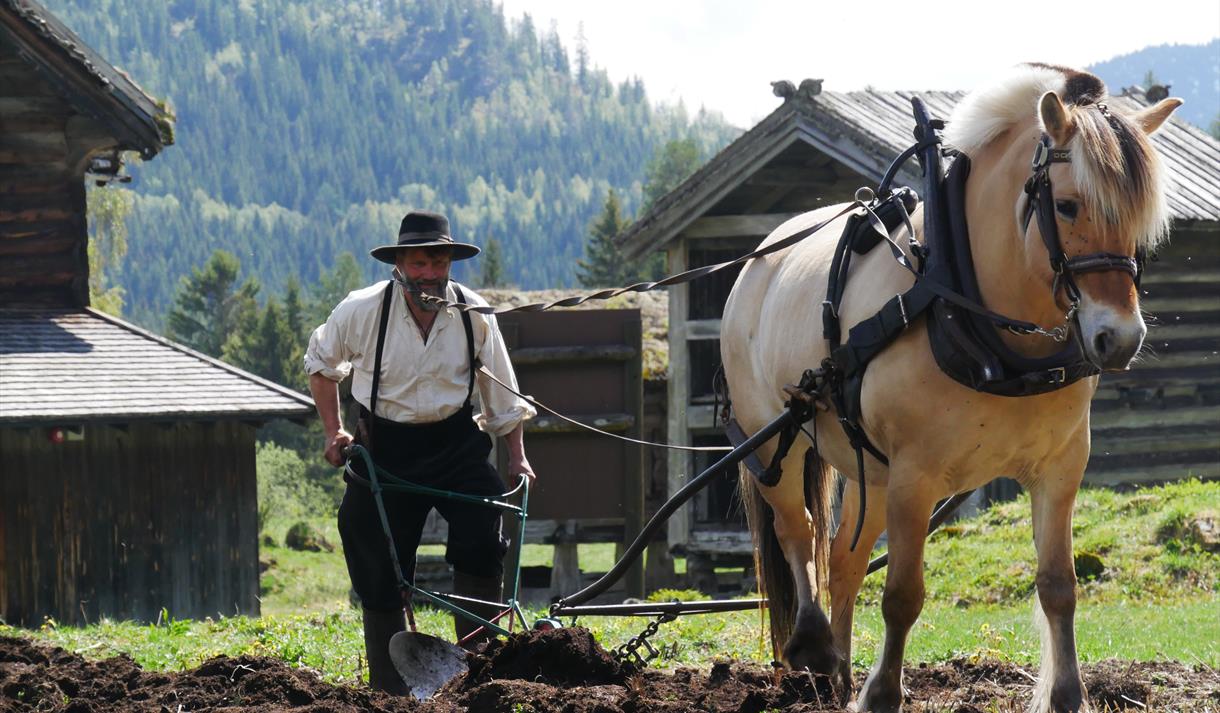 museumsbonden i Eidsborg