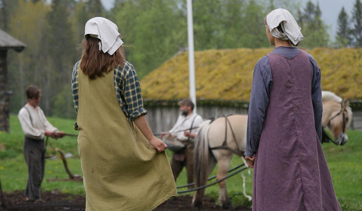 Museumsbonden og hjelparar på åkeren i eidsborg