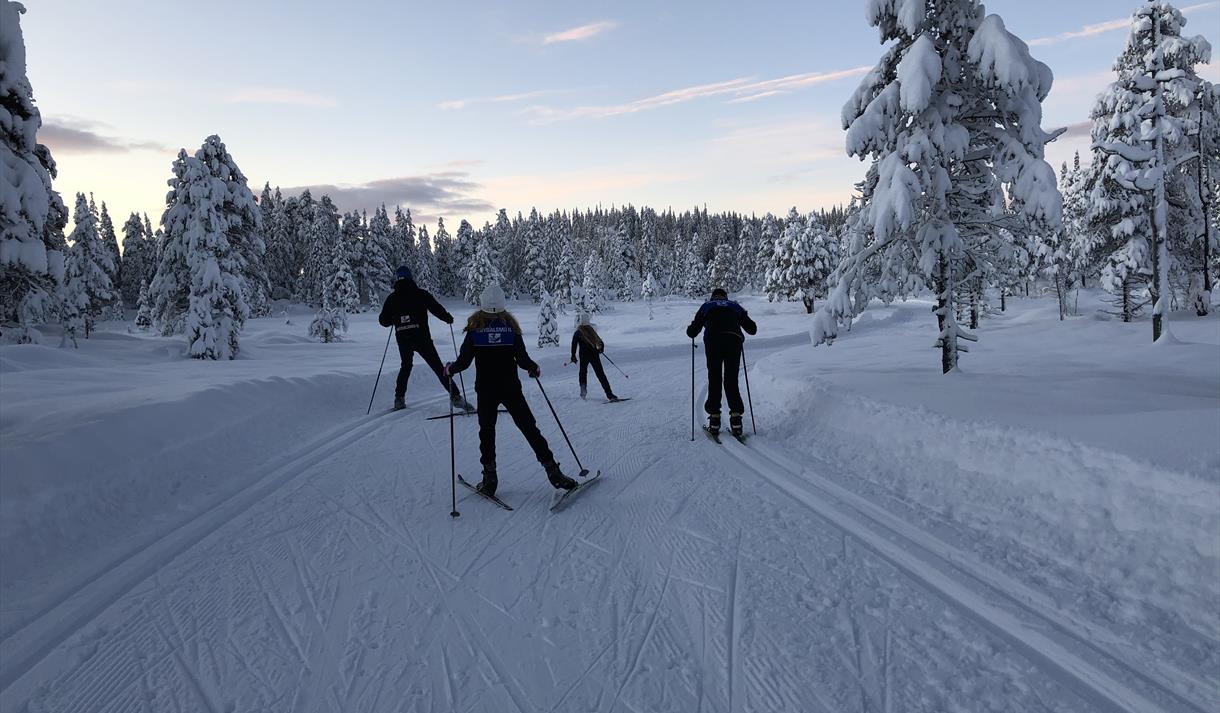 Skiløpere i fantastisk flott vinterlandskap