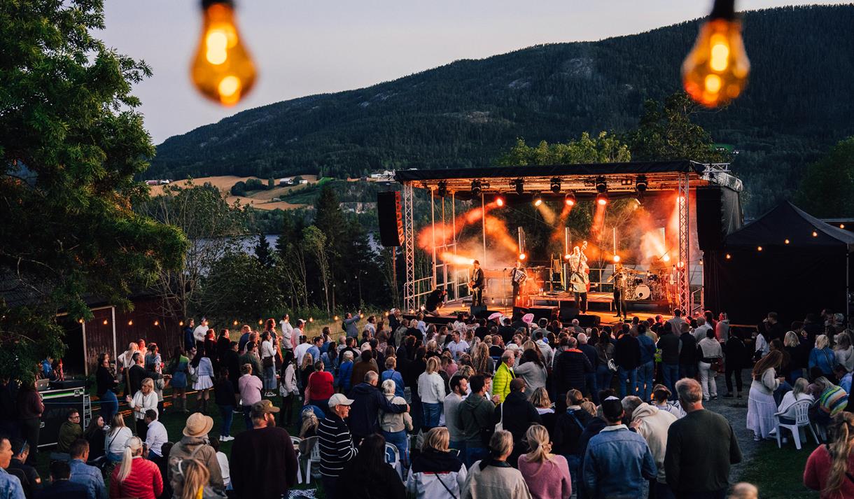 Konsert i 2025