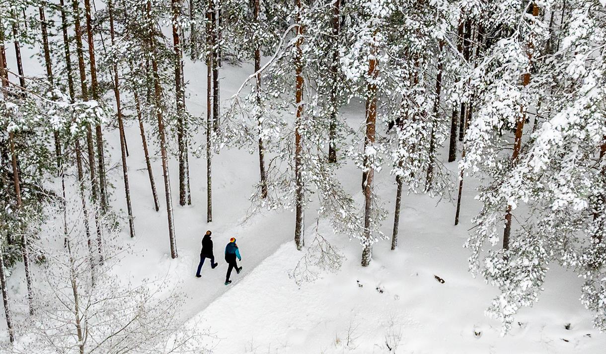 Vandring om vinteren