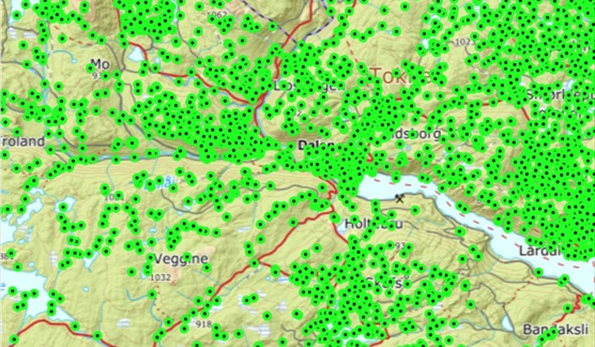 Kart frå stadnamndatabasen i Tokke.