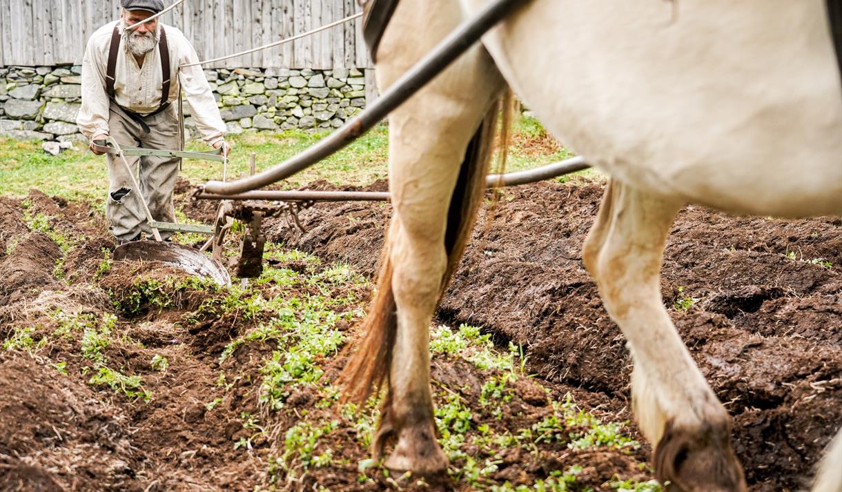 Våronn i Eidsborg, pløying med hest på åkeren.