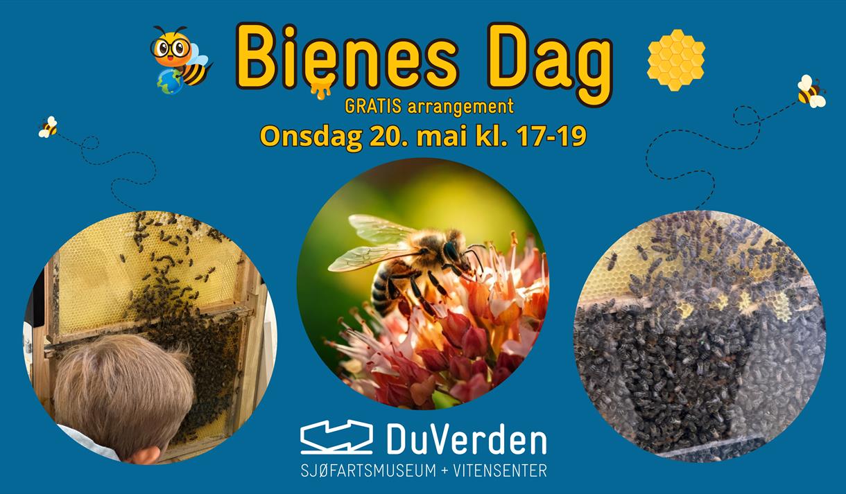 Bienes Dag
