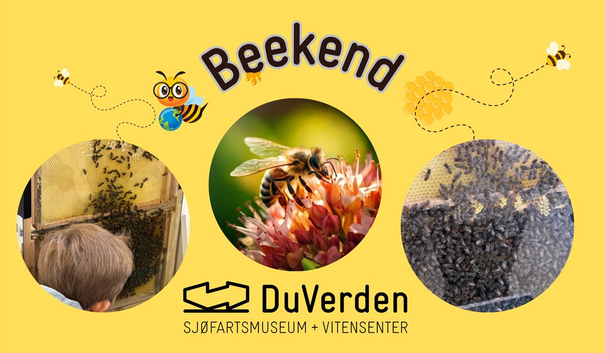 plakat til "Beekend"