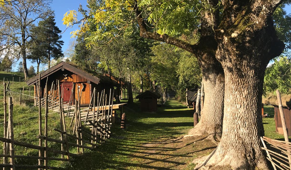 kulturstien forbi Jernaldergården i Skien