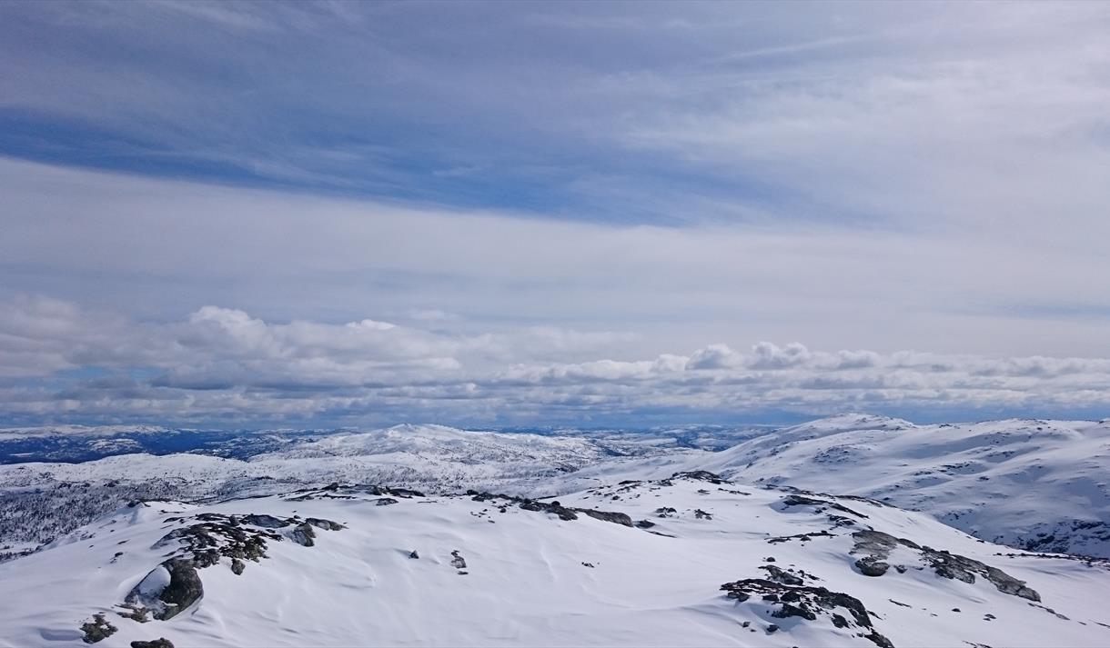 Product Image Product Image