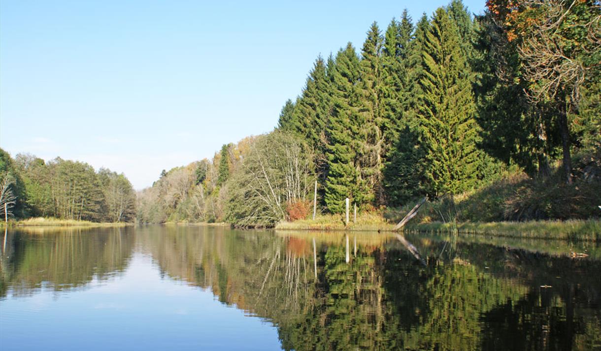 Falkumselva i Skien om høsten