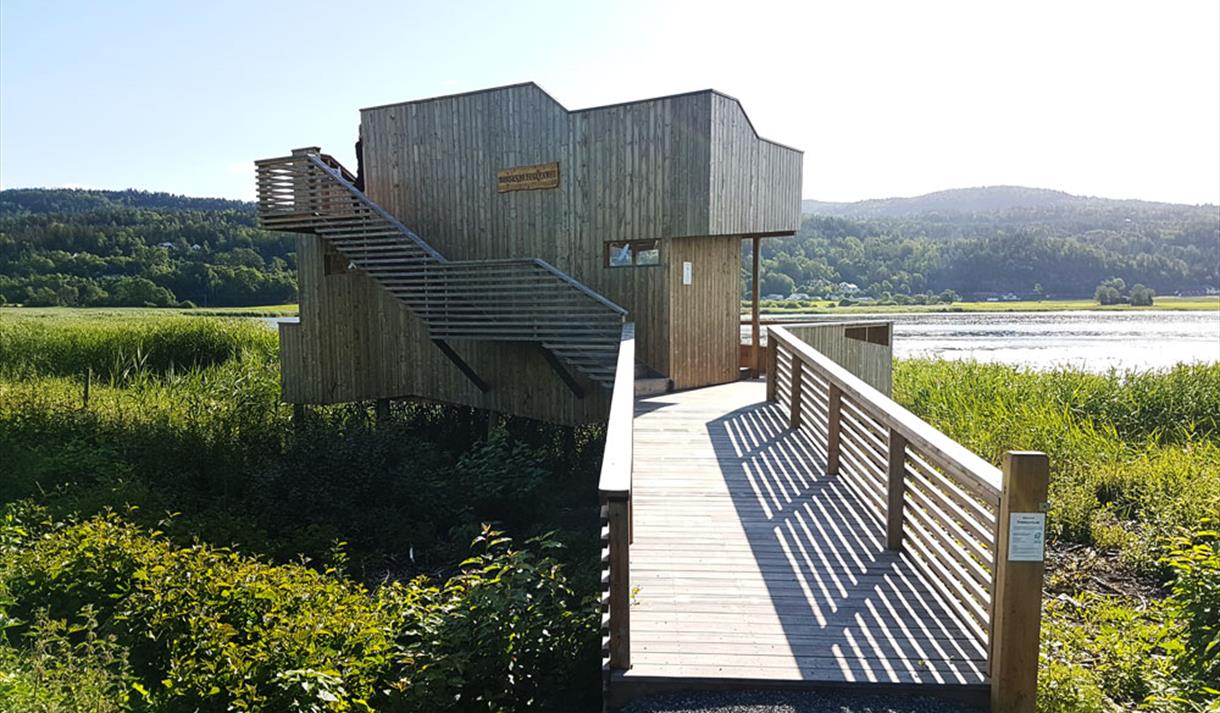 fugletårnet på børsesjø