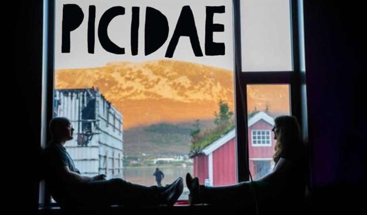 Picidae