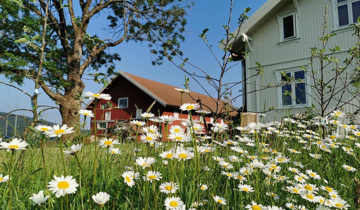 Gården i prestekrageeng