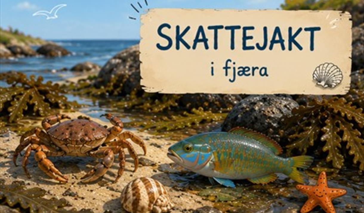 Skattejakt i fjæra på Jomfruland