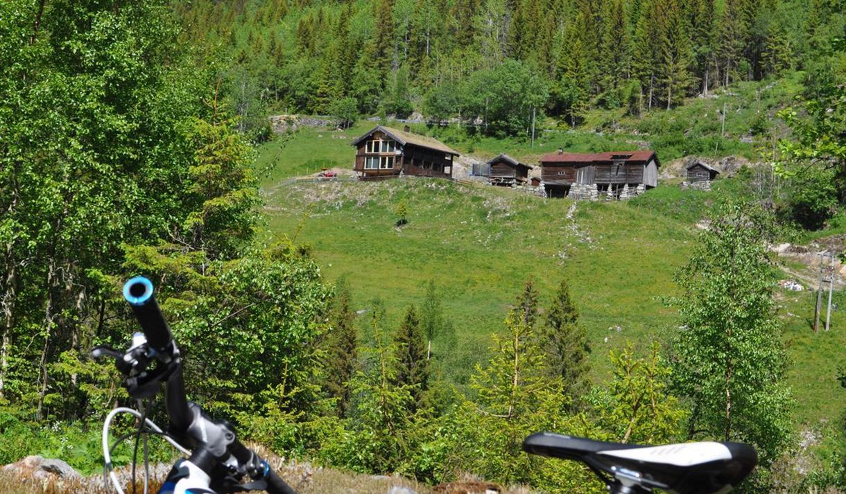 Fjellgård på sykkelruten Skarsvegen i Telemark