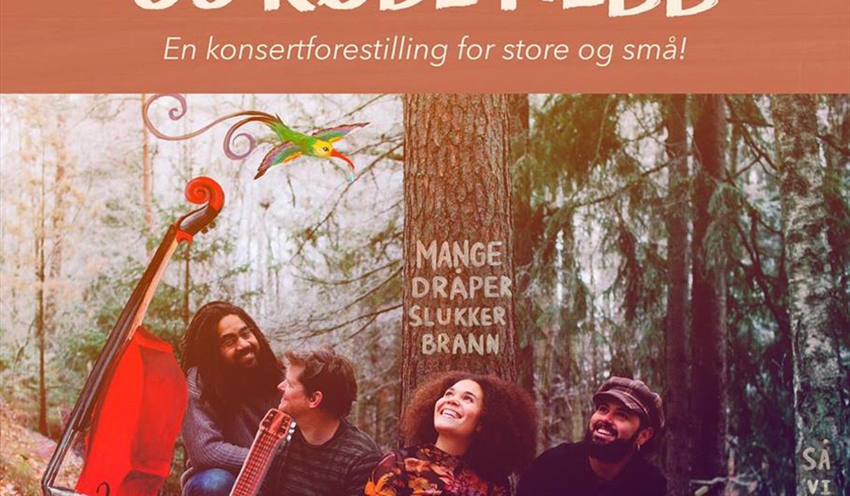 Product Image Product Image