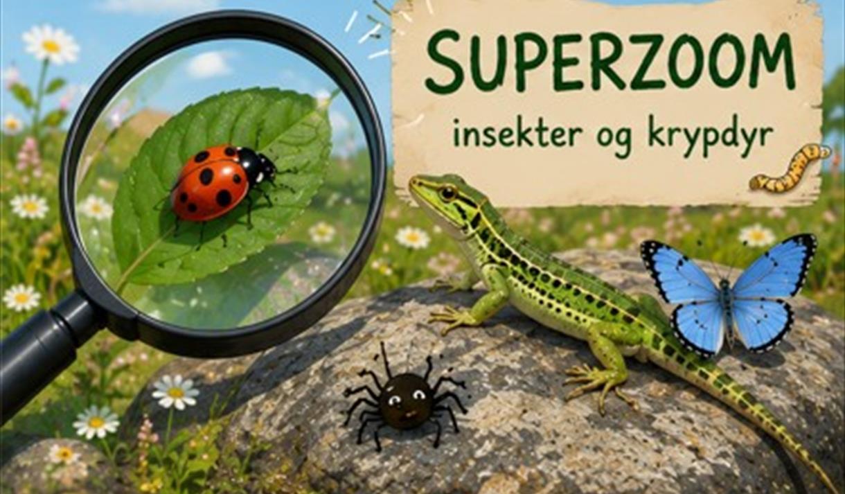 Superzoom på Jomfruland