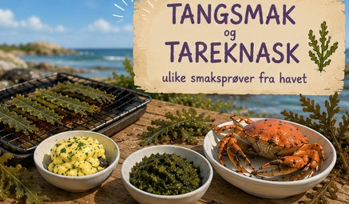 Tangsmak og tareknask Jomfruland