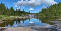 flott natur med vann og skog i Birtedalen