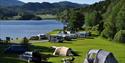 telter og bobiler på Lystang Camping