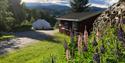 hytte og Glamping telt på Lystang Camping