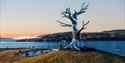 Skulpturen TRE langs industripromenaden på Notodden.