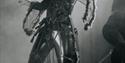 Enigma Ataraxia