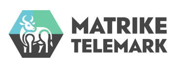 Matrike Telemark logo